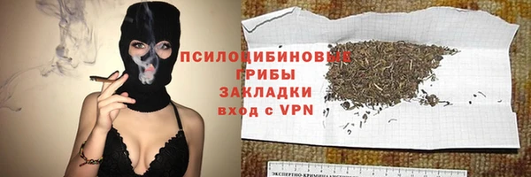 дживик Абинск