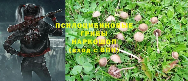 первитин Абаза