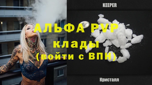 шишки Горняк