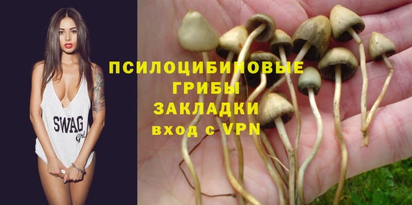 не бодяженный Алзамай