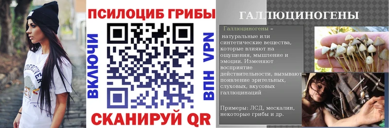 Псилоцибиновые грибы Psilocybe  kraken вход  Чехов 